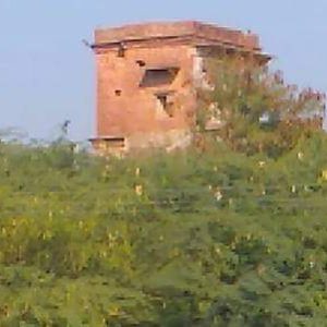 IMG-20191014-WA0005